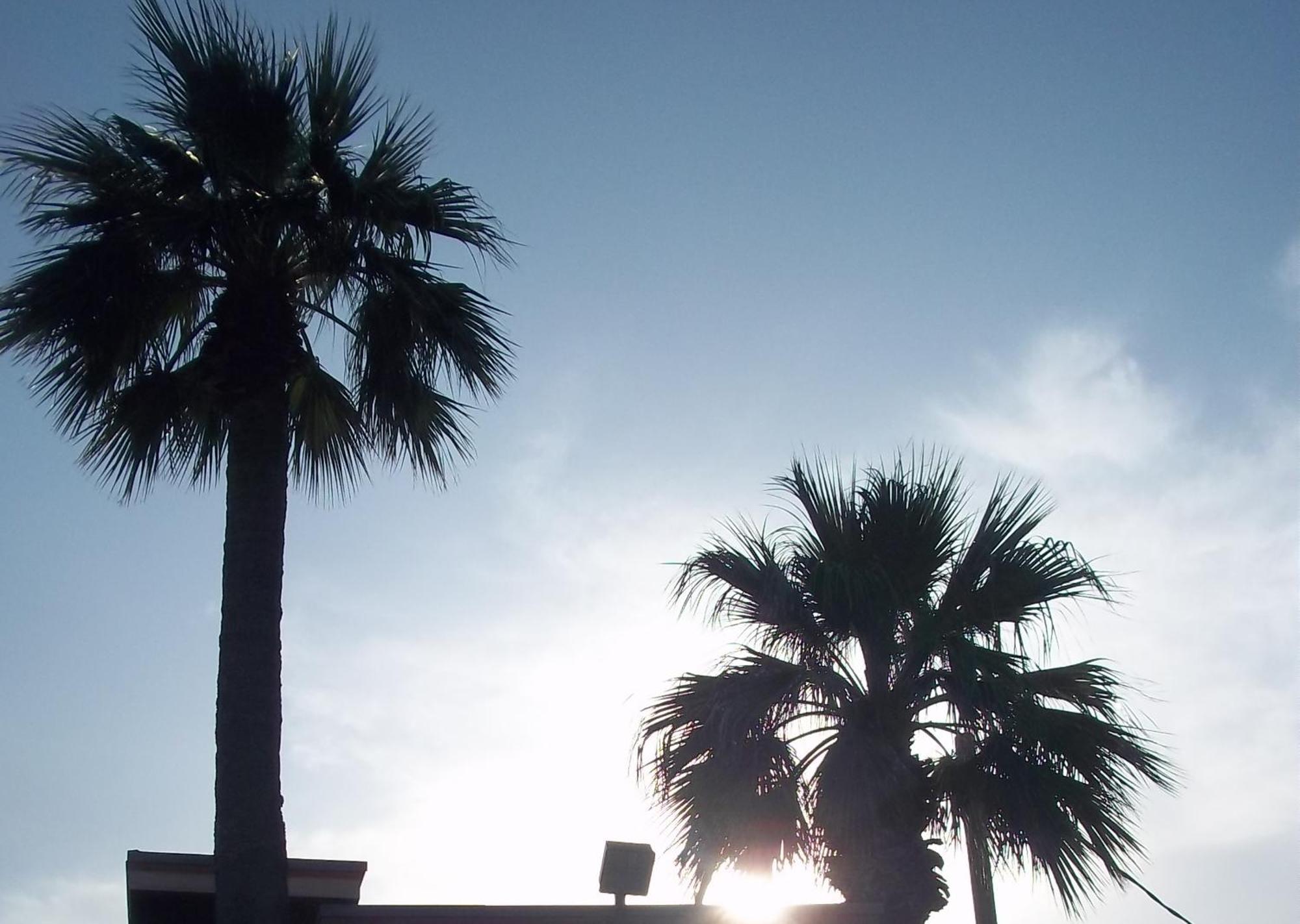 Whispering Palms Inn 德尔里奥 外观 照片